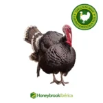 Cuellos de Pavo Naturales