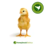 Cuellos de Pollo Naturales