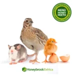 Menú Honeybrook Mixto