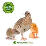 Menú Honeybrook Premium