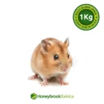 Hamster Congelado