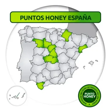 honey-puntos-2026