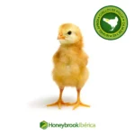 Cuellos de Pollo Naturales