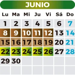 honey-calendario-junio